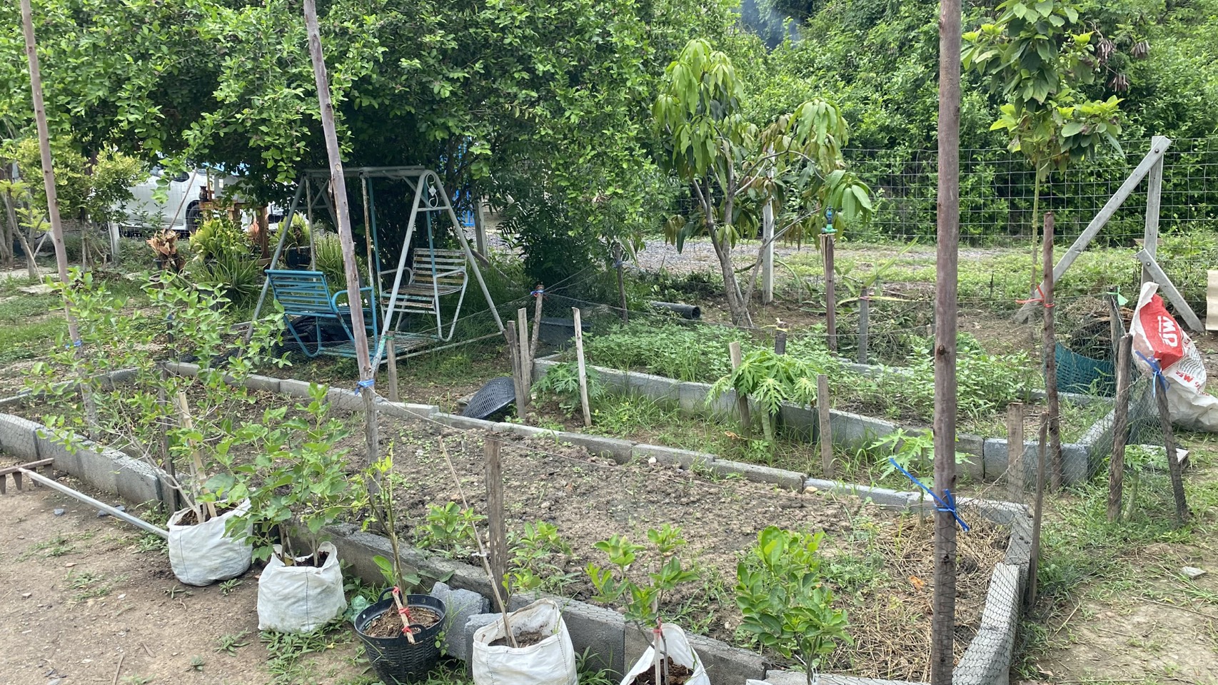 สพอ.บางปะหัน ดำเนินกิจกรรมปลูกผักริมรั้ว ครัวริมทาง สร้างอาหารปลอดภัย